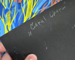 Coral Charm